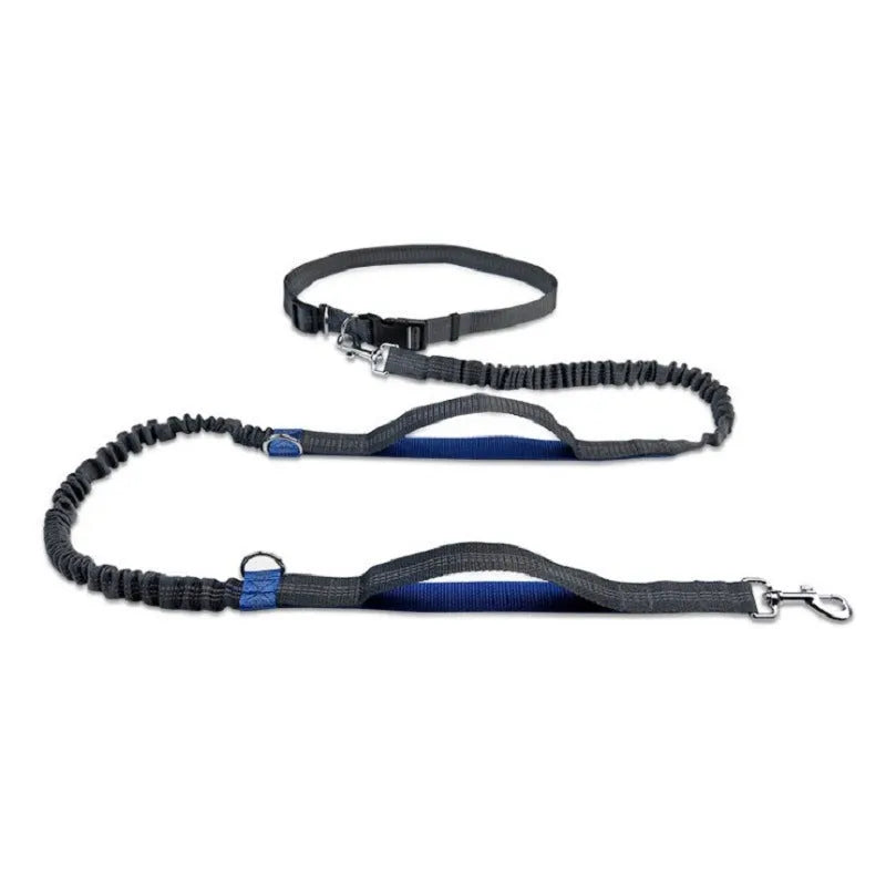 Blue polyester multifunctional dog walking belt and retractable leash shown on a person's waist.