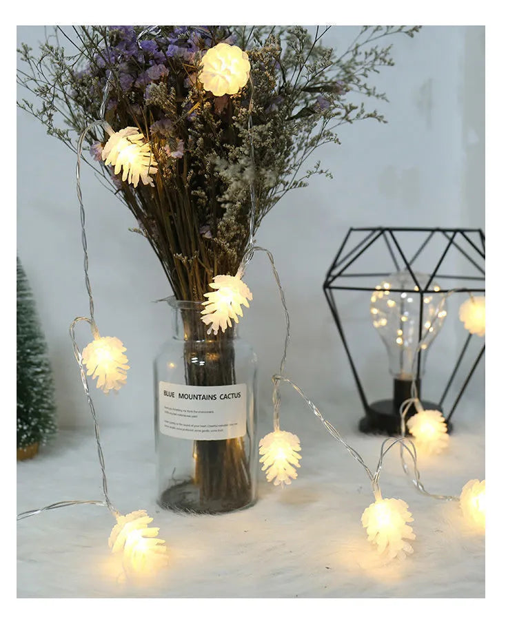LED simulation transparent pine nut light string in warm white, true white, or colour with PVC shell and USB or battery box power options.