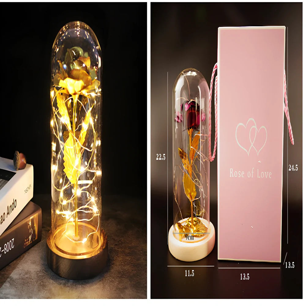 Little Prince rose arrangement under 20x9cm glass dome with gold foil flowers