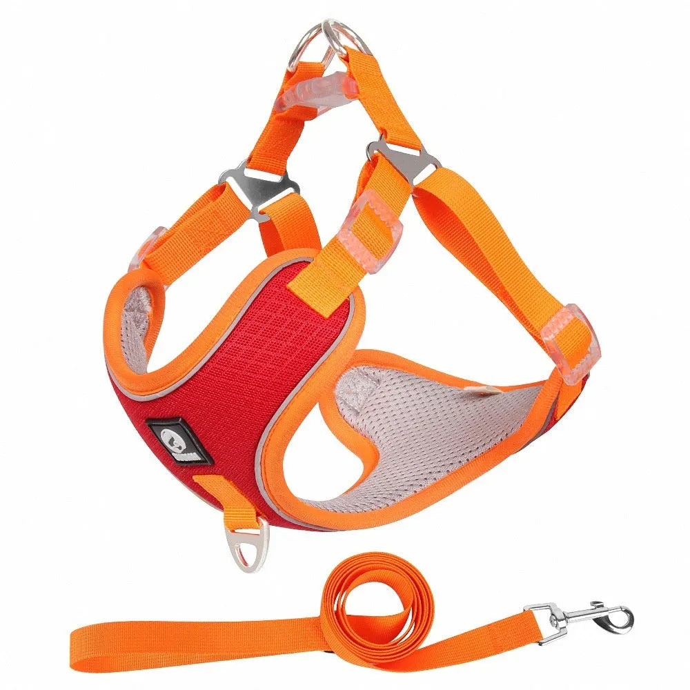 Adjustable mesh dog harness with reflective piping in black, red, gray, and light purple colours