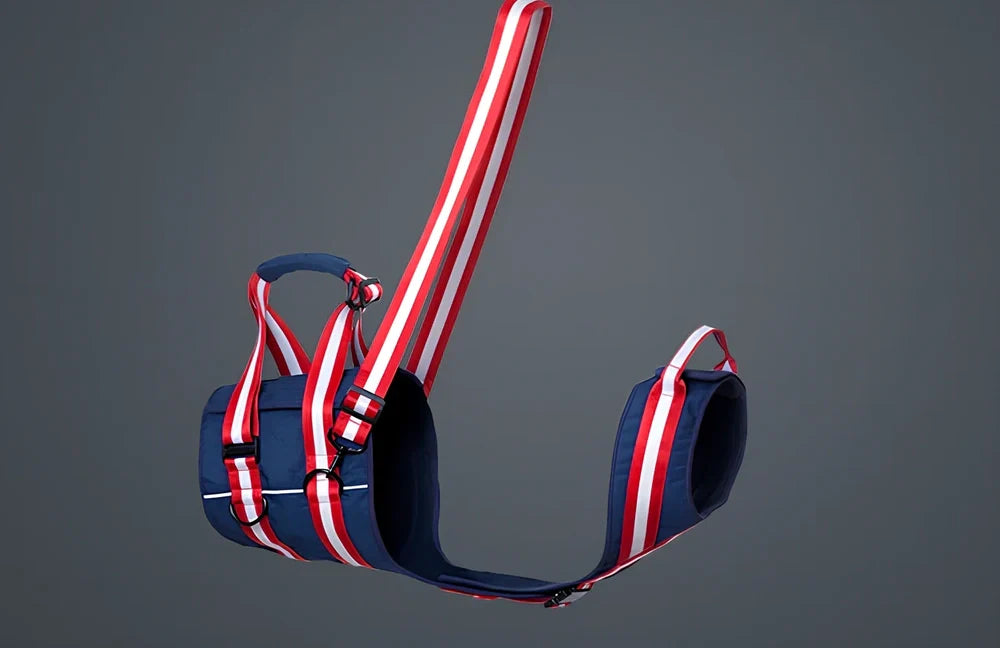 Blue nylon dog harness with adjustable straps and quick-release buckles for elderly pets