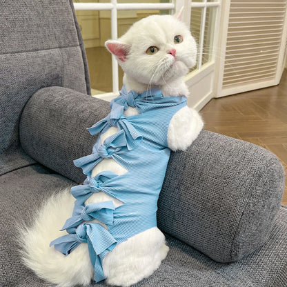 Lace-up cat sterilisation clothing in blue colour on cat showing adjustable back fastening and full-body coverage