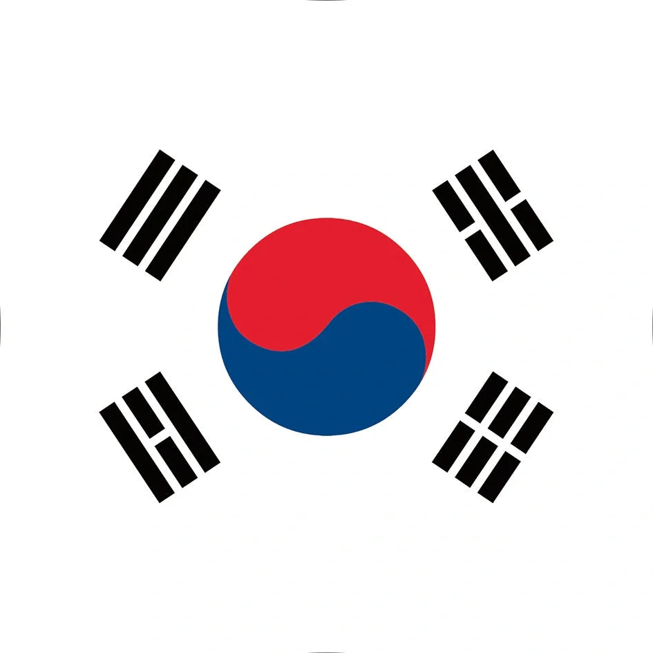 World Cup Qatar football themed biodegradable dishwashing sponges with national flag designs