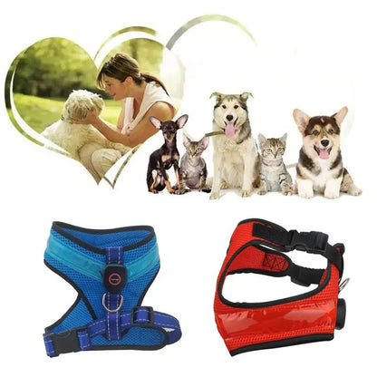 USB rechargeable LED dog harness in blue, red, or green with reflective safety features