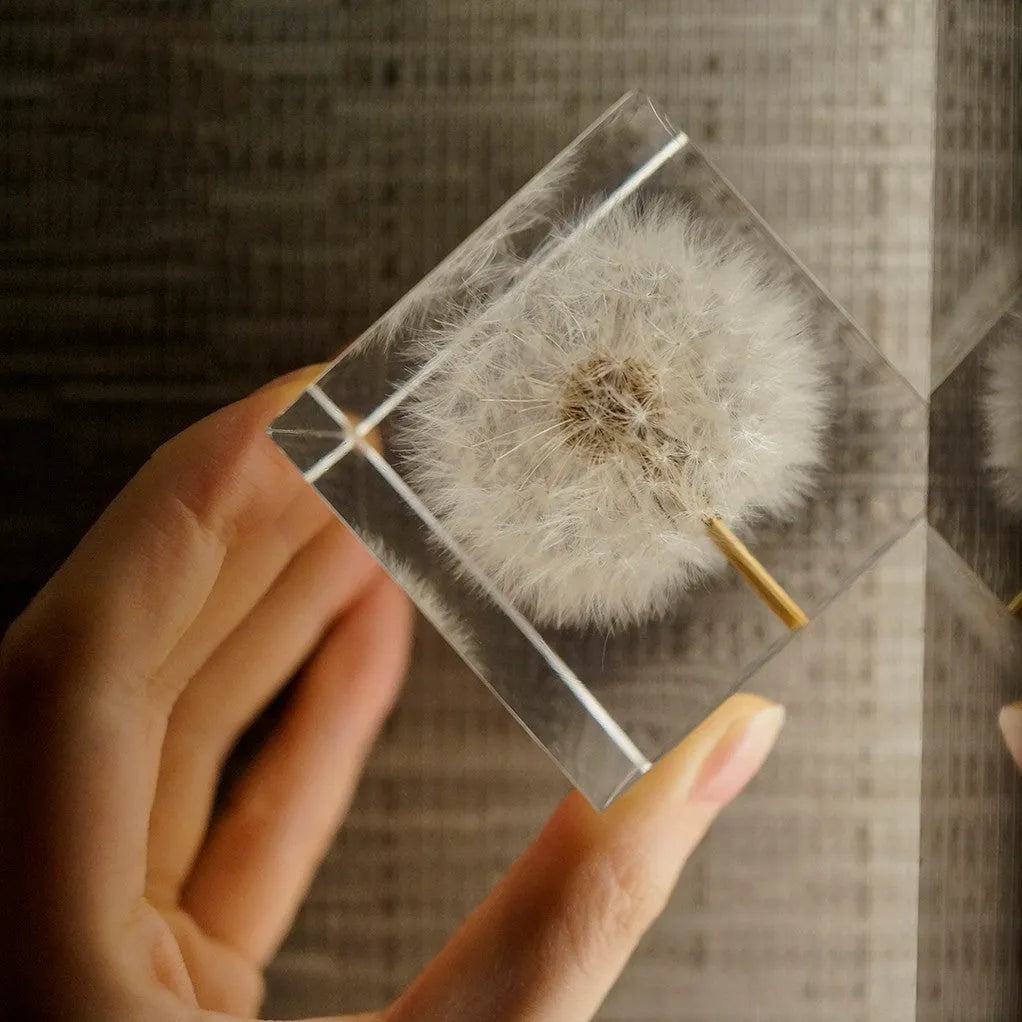Clear 5cm resin cube with preserved dandelion flower inside, displayed with wooden box and USB charging base