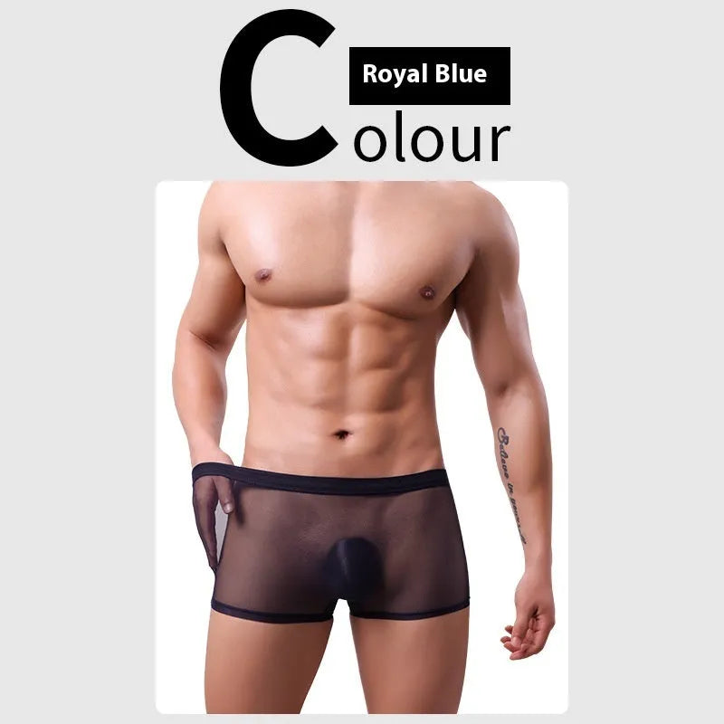 Men's thin sheer mesh boxer briefs in multiple colours on a white background.