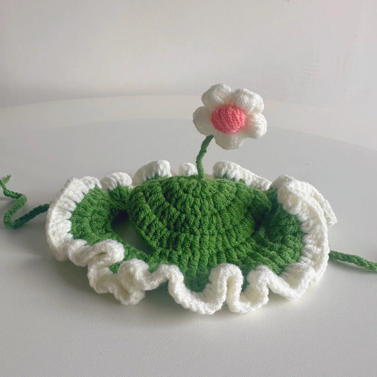 Green knitted cat hat on a kitten, showing soft fabric and cute design for parties.