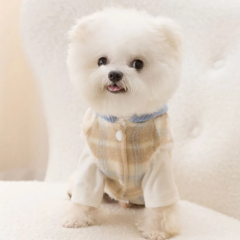 Blue corduroy dog hoodie with chessboard grid pattern and a hood.
