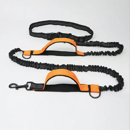 Blue polyester multifunctional dog walking belt and retractable leash shown on a person's waist.