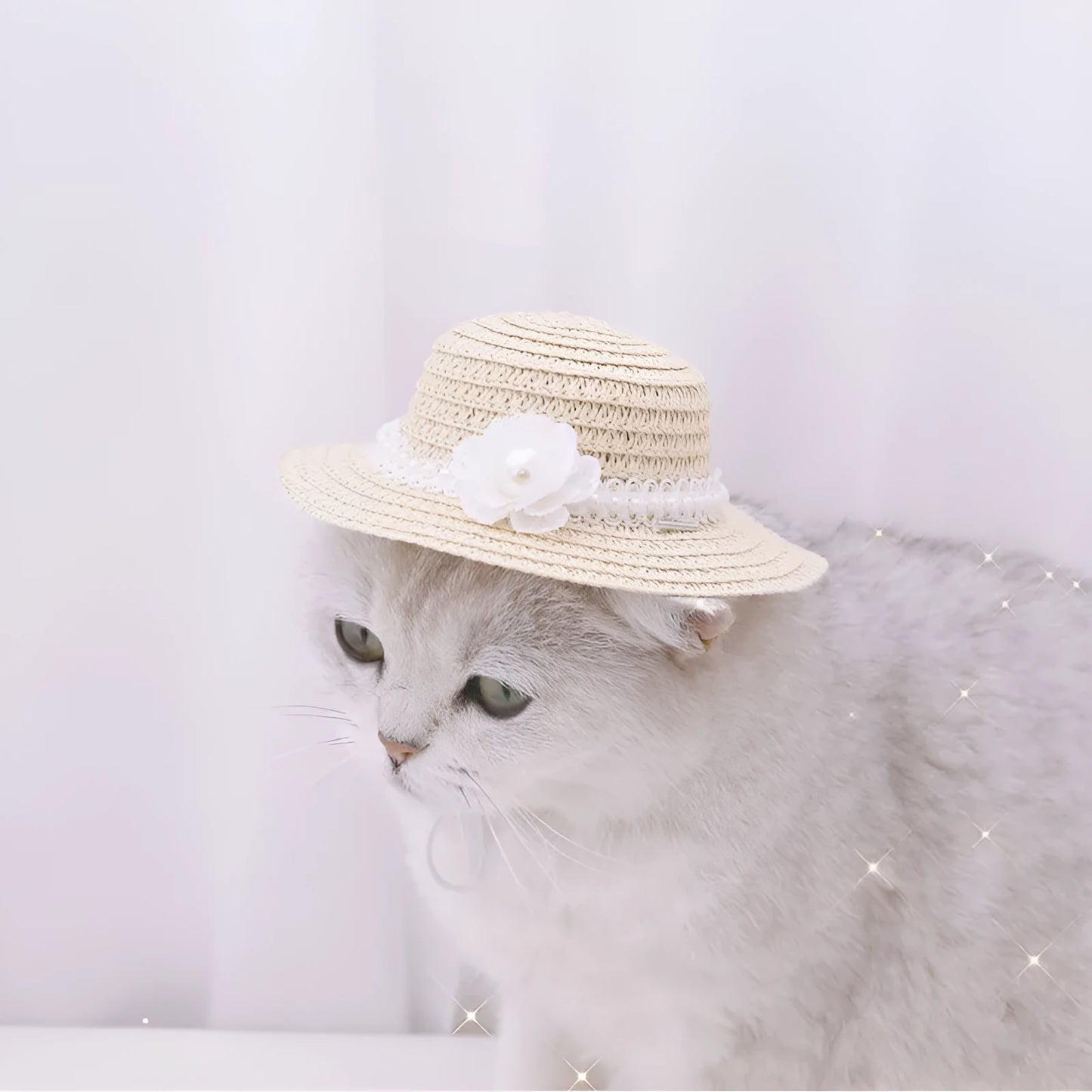 Handmade adjustable bowknot paper hat for a dog or cat, shown in a cartoon style with an elastic fastening loop.