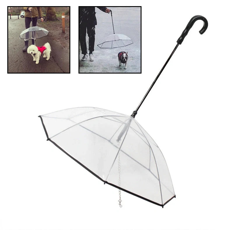 Transparent dog umbrella with stainless steel chain attached to harness for rainy walks