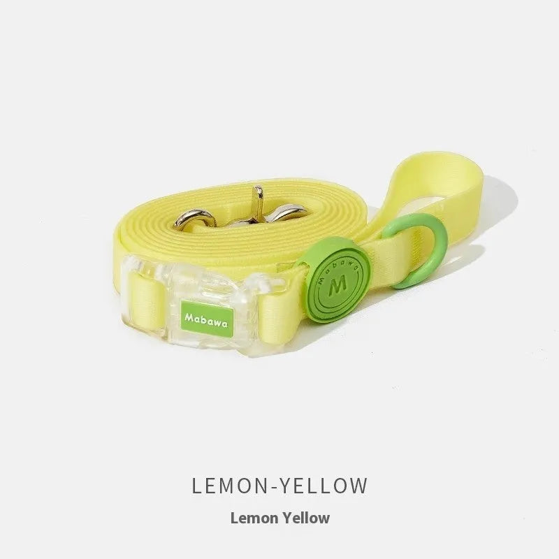 Nylon dog collar and hand holding rope in smoky gray, new green, lemon yellow, and rose pink colour options.