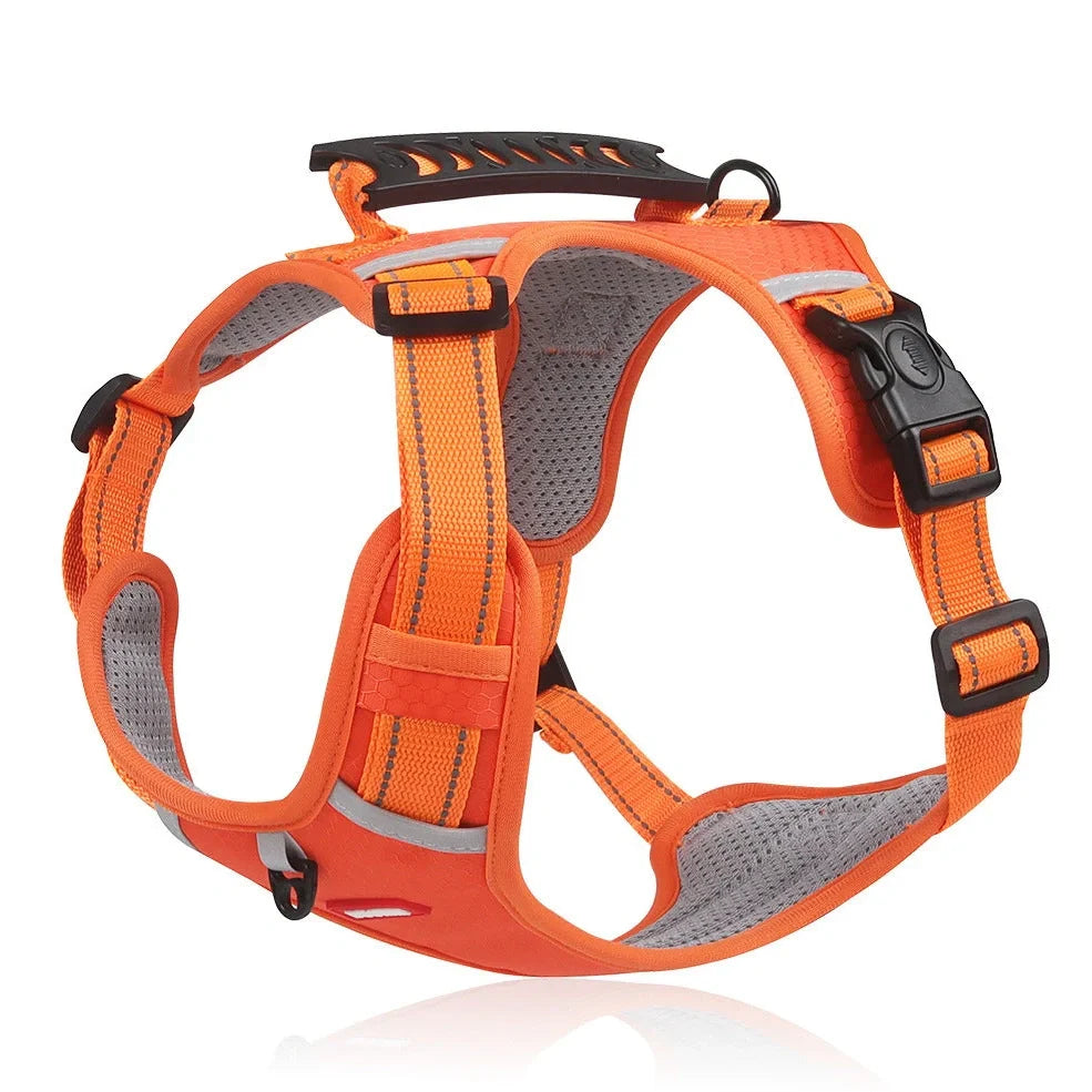 Reflective pet chest strap in multiple colours with adjustable sizing for dog walking safety