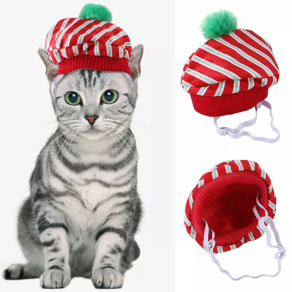 Cartoon-themed pet hat for cats with unique embroidery detailing