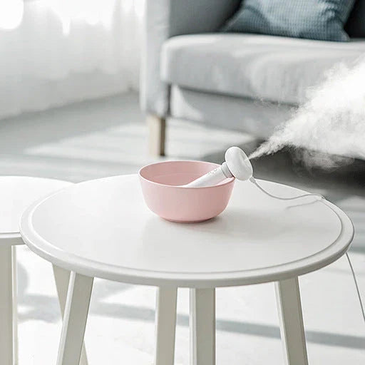 Portable USB humidifier and aroma diffuser device with mist and essential oil diffusion capability