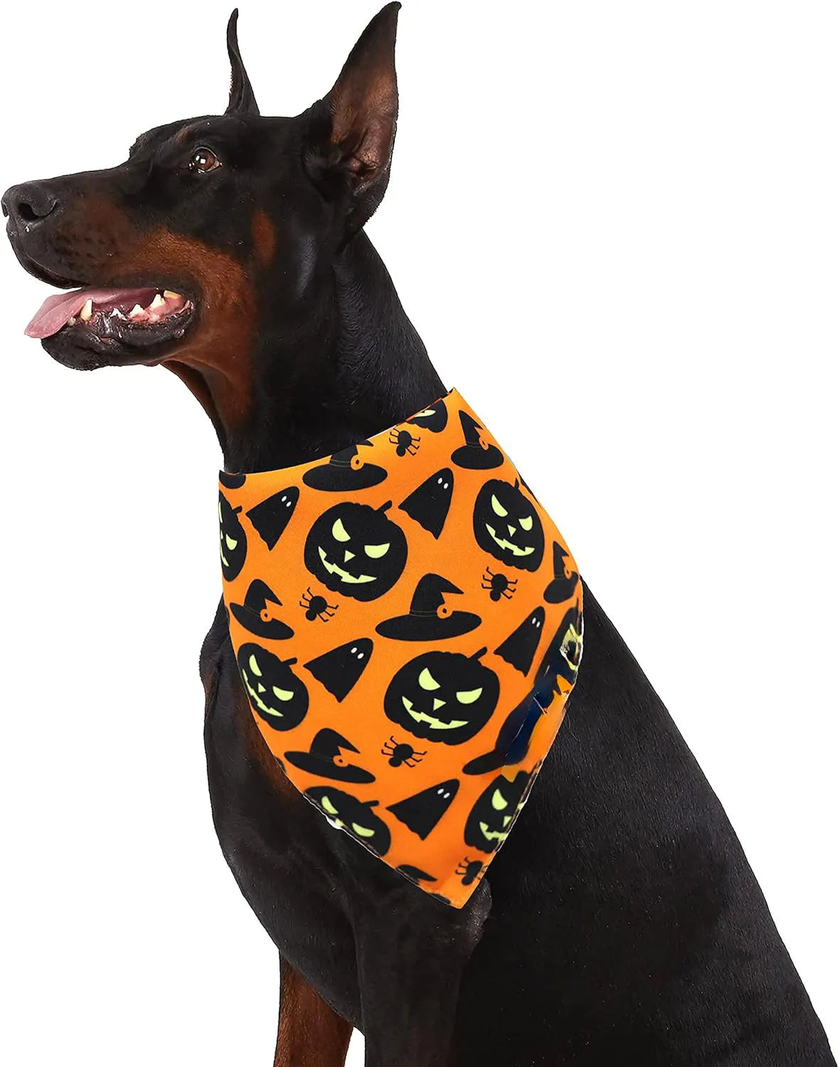 Black and orange reversible Halloween dog bandana with pumpkin and spider web print laid flat