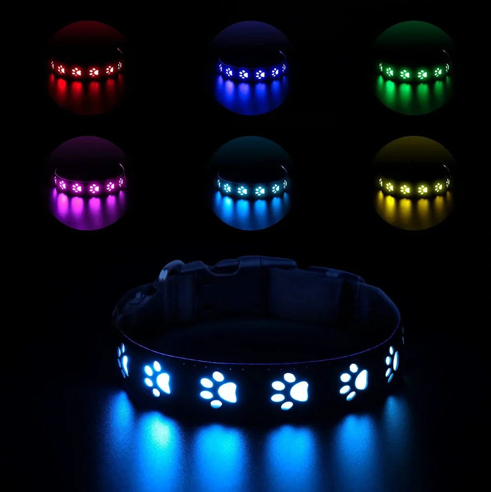 Black LED dog collar showing seven coloured lights with USB charging port visible