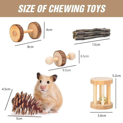 Assortment of wooden and natural fibre chew toys for small pets including balls, rings and woven shapes.