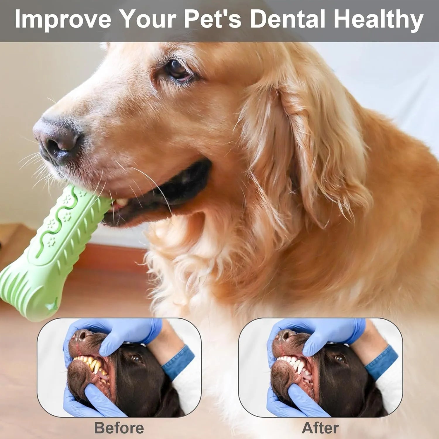 Blue bone shape dog chew toy made from natural rubber with uneven surface for teeth cleaning