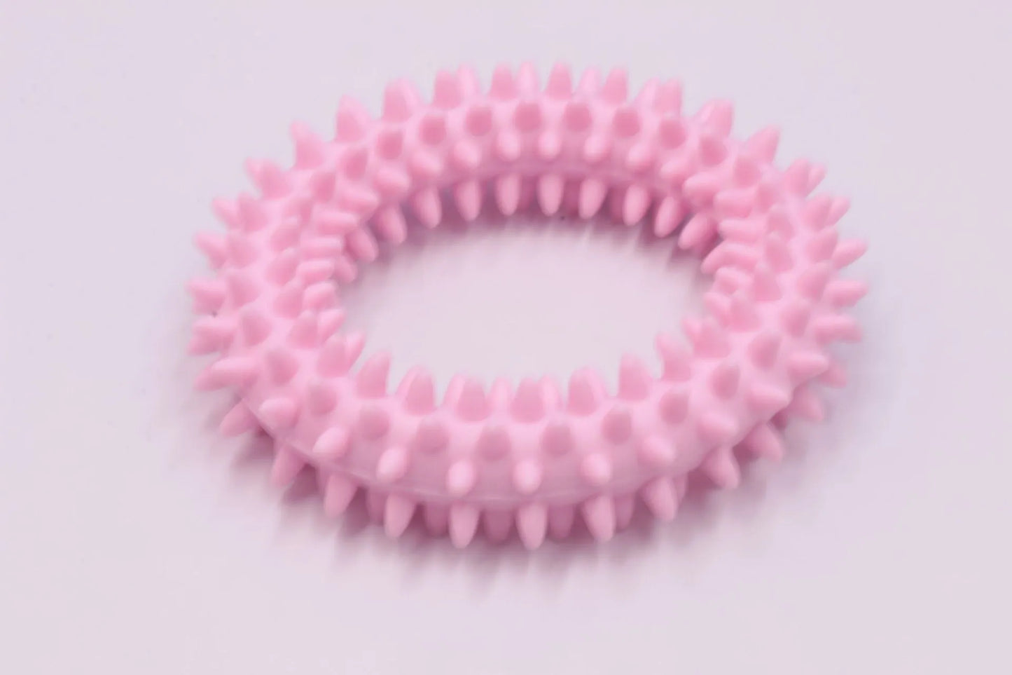 TPR spiky circle ring dog chew toy in assorted colours showing dental cleaning nubs