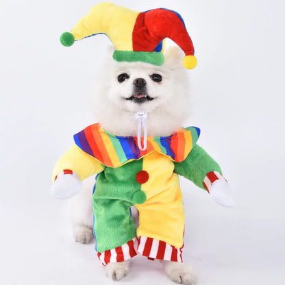 Halloween dog costume example in size M, showing the Bat Suit design made from polyester fabric.