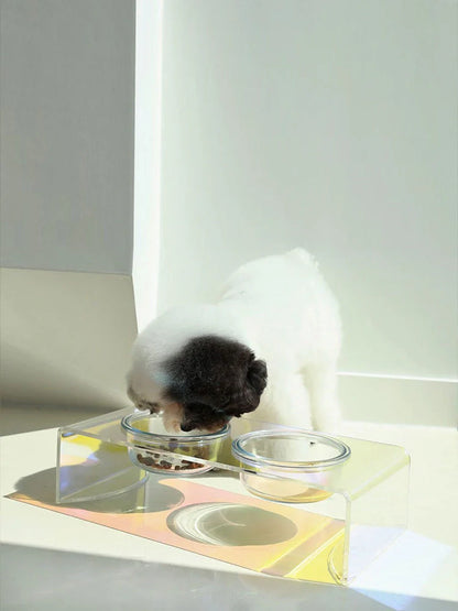 Dazzling holographic acrylic pet bowl for small dogs and cats with anti-slip base