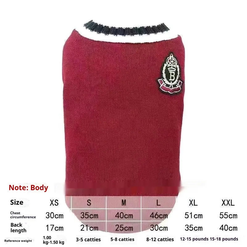Cat wearing winter jumper with silver gradual collar in college style design