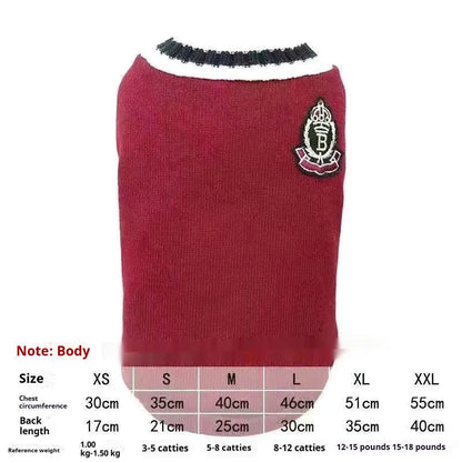 Cat wearing winter jumper with silver gradual collar in college style design