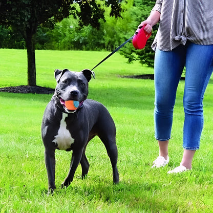 TPR dog training ball with sounding feature in assorted colours including red blue and luminous options