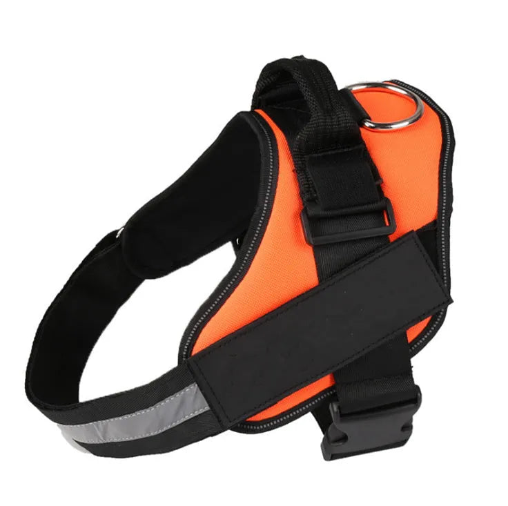 A reflective adjustable no-pull dog harness in nylon, shown on a dog, with a sturdy handle and D-ring for leash attachment.