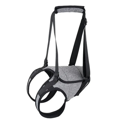 Grey neoprene dog rear leg recovery support belt showing adjustable waist design