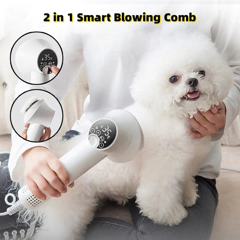 Premium pet hair dryer with powerful yet gentle 300W motor, whisper-quiet operation, and durable ABS and PA construction for effortless at-home grooming of dogs, cats, and golden retrievers