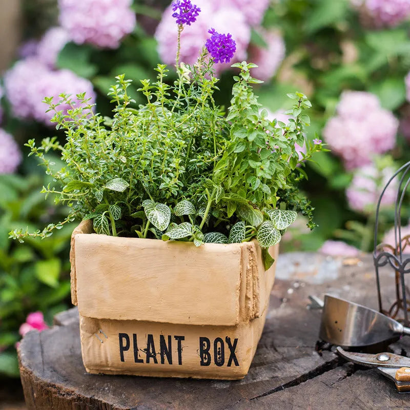 Square cement planter with matte finish and drainage holes, next to a small green plant.
