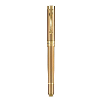 Metal fountain pen showing multiple colour options with gold and silver clips for calligraphy practice