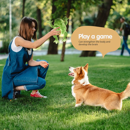Green plush dog toy 27x16x5cm 57g sound and bite-resistant pet companion toy
