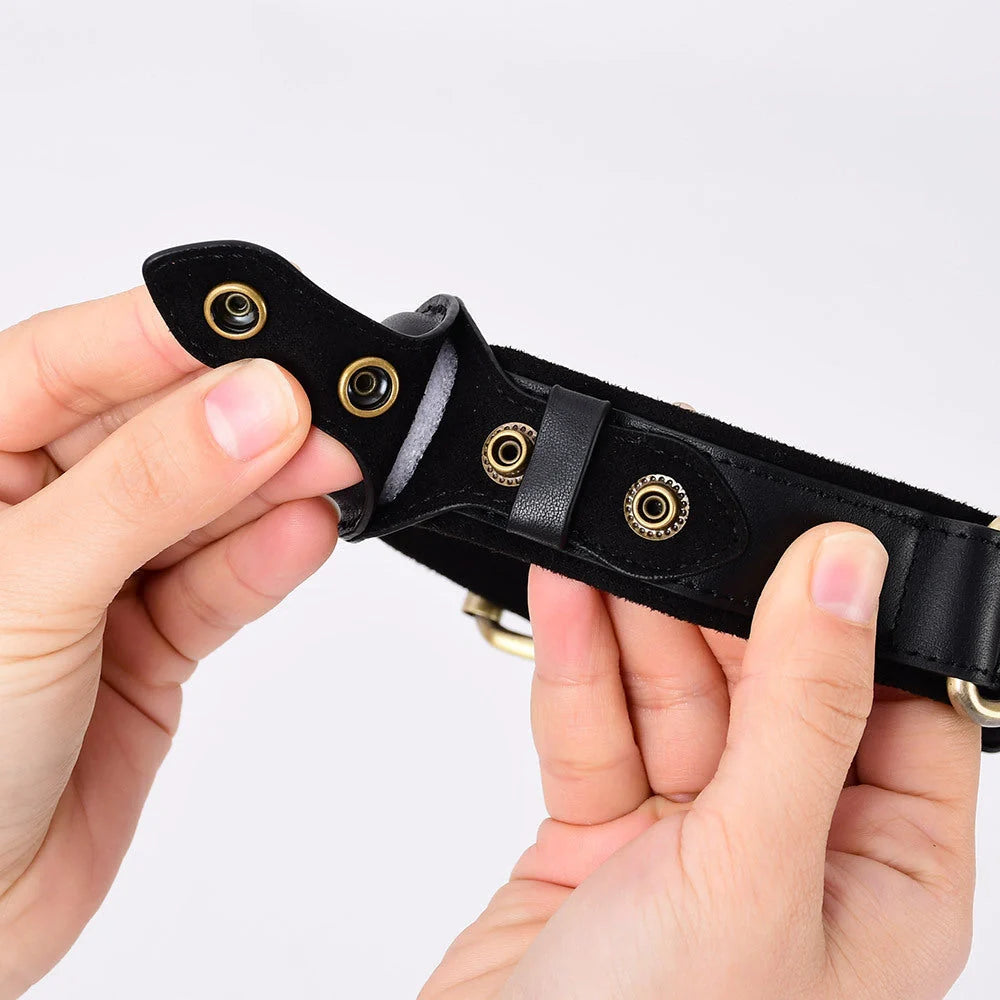 GPS tracker dog collar with AirTag holder in black, brown, blue, and pink colors