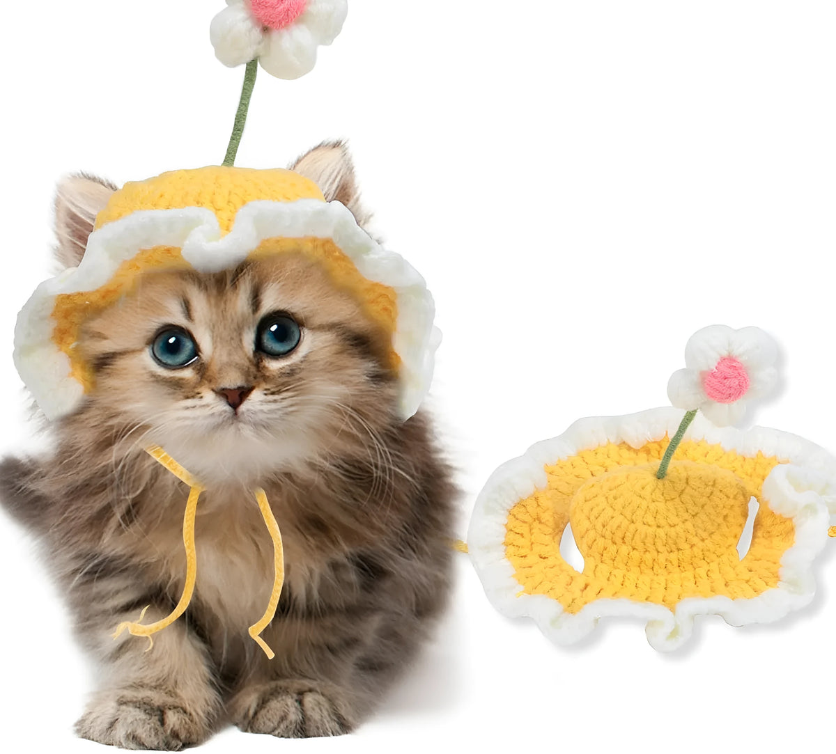 Green knitted cat hat on a kitten, showing soft fabric and cute design for parties.