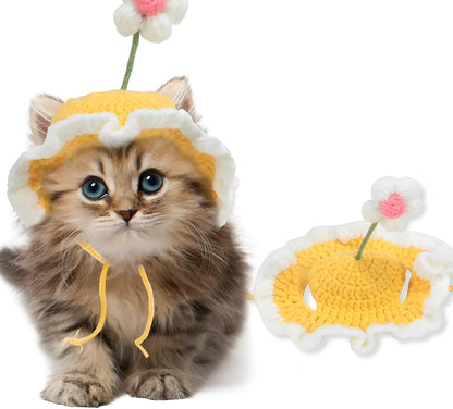 Green knitted cat hat on a kitten, showing soft fabric and cute design for parties.