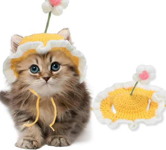 Green knitted cat hat on a kitten, showing soft fabric and cute design for parties.