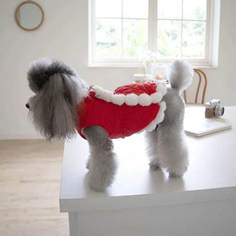 Red Chinese-style dog jacket with a white faux fur collar on a pet mannequin