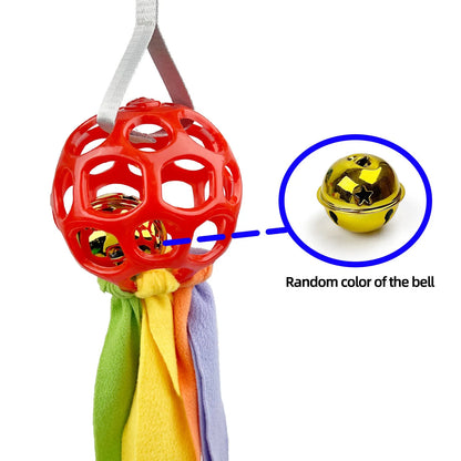 Interactive hollow ball pet toy with TPR sound in five colour options