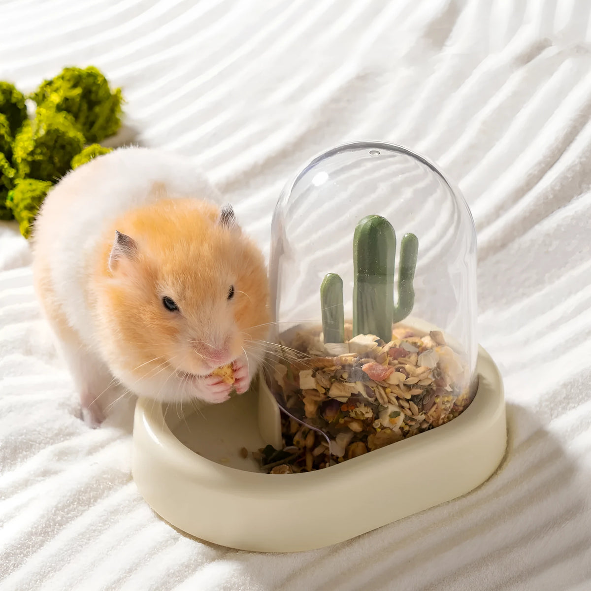 Creative cactus-shaped hamster automatic feeder with transparent food level viewing window