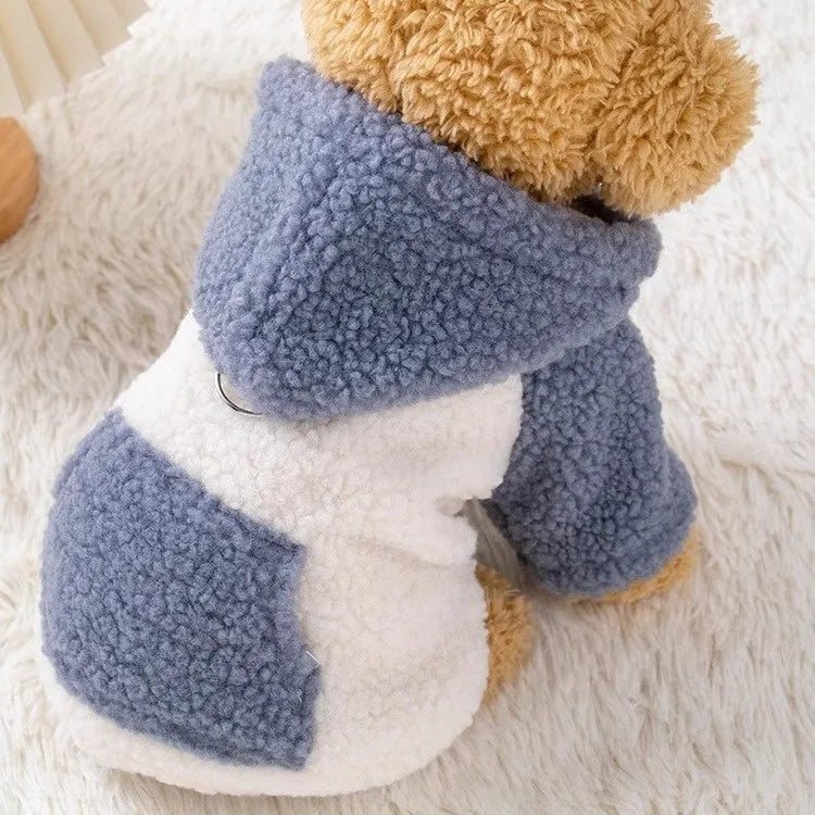 Pet hooded cotton-padded winter coat in blue or brown colour for dogs and cats