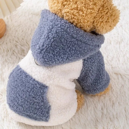 Pet hooded cotton-padded winter coat in blue or brown colour for dogs and cats