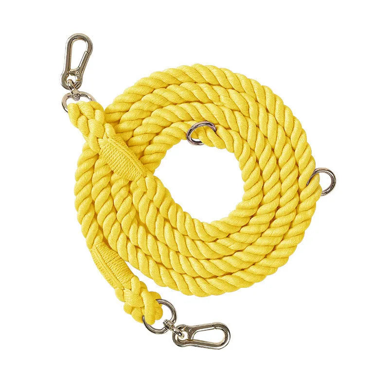 Woven rainbow pattern dog leash with double grip handles and a metal clasp.