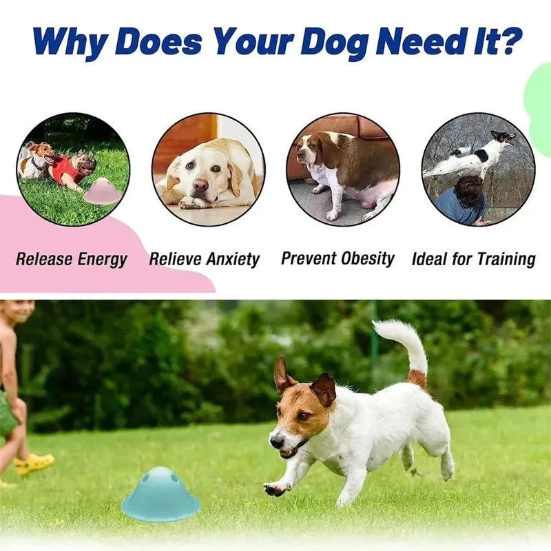 Green interactive dog chew puzzle toy with hidden treat slots on a flat base.