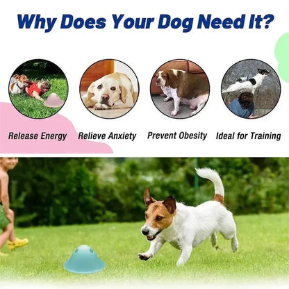 Green interactive dog chew puzzle toy with hidden treat slots on a flat base.