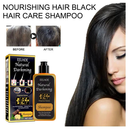 100ml boxed bottle of Polygonum Multiflorum Shampoo for white to black hair transformation.