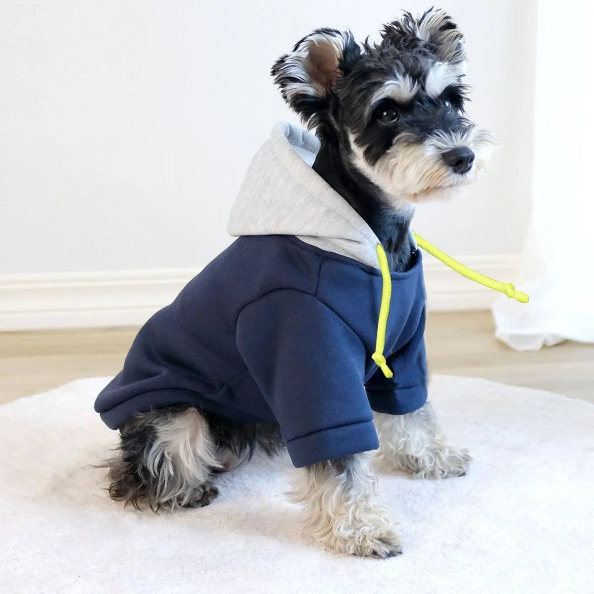 British style hooded pullover for pets with contrasting colour panels in polyester fabric