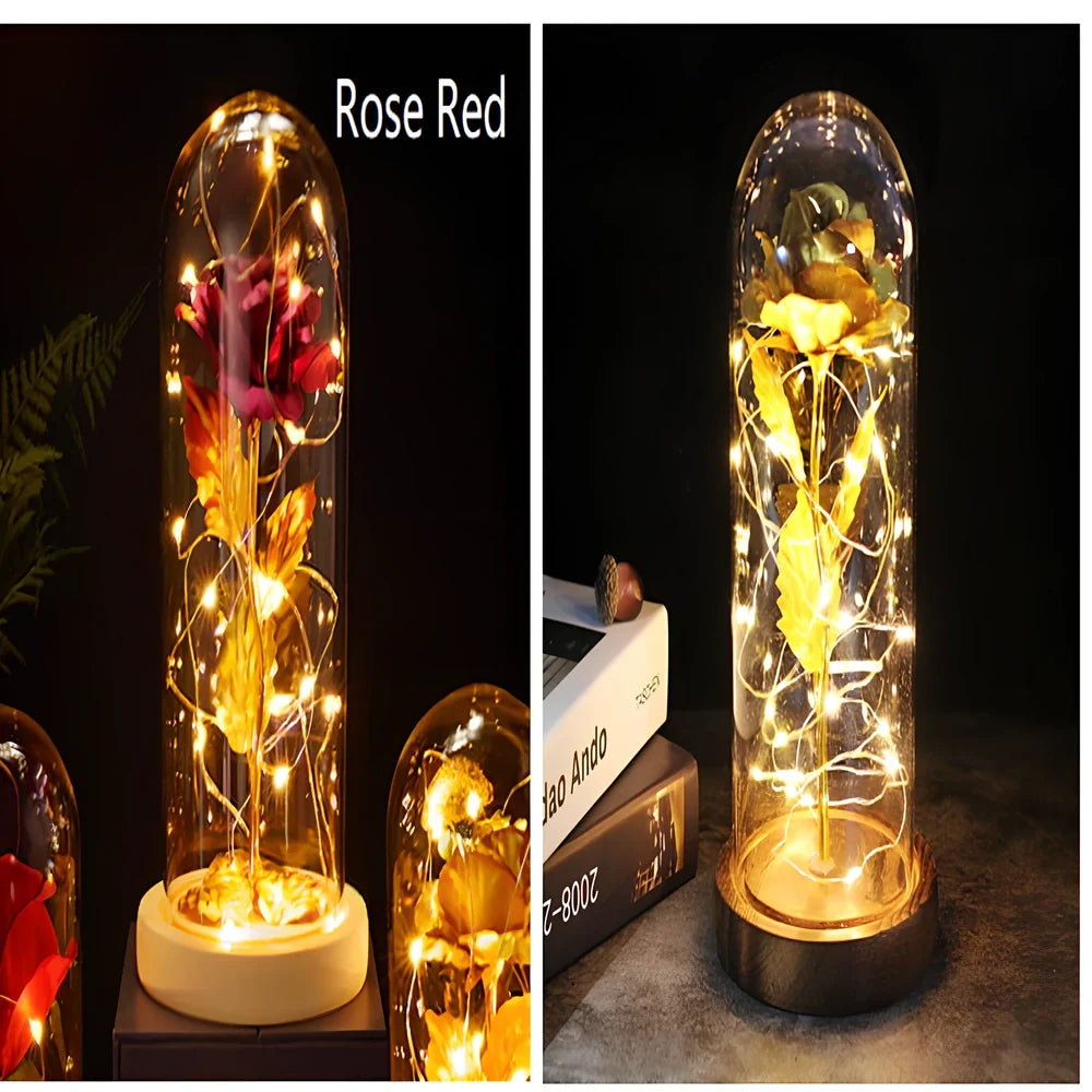 Little Prince rose arrangement under 20x9cm glass dome with gold foil flowers